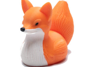 Orange and white Fox Duck