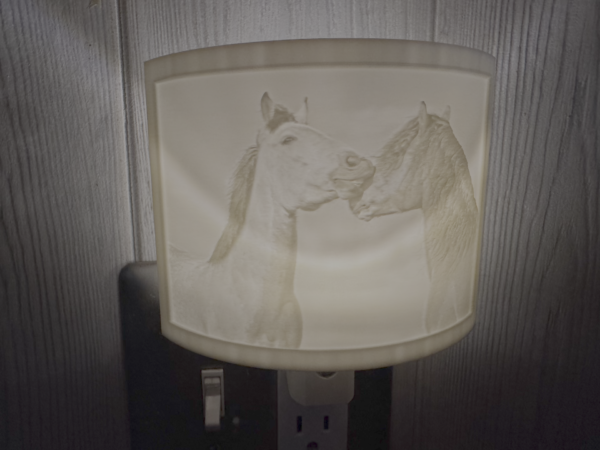 horses nightlight