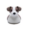 Jack Russell 1